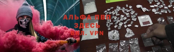 сатива Абаза