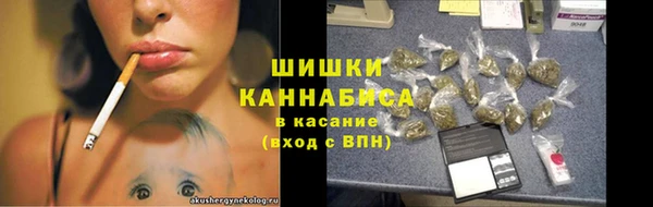 шишки Алзамай
