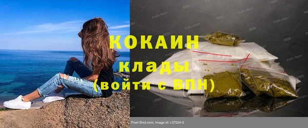 шишки Алзамай