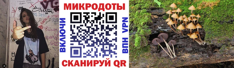 blacksprut рабочий сайт  Остров  Псилоцибиновые грибы GOLDEN TEACHER 